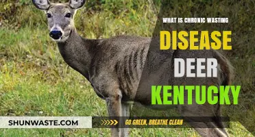 Understanding Chronic Wasting Disease in Kentucky's Deer Population