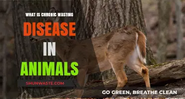 Understanding Chronic Wasting Disease: A Growing Threat to Wildlife