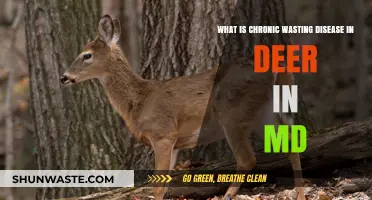 Understanding Chronic Wasting Disease in Maryland's Deer Population