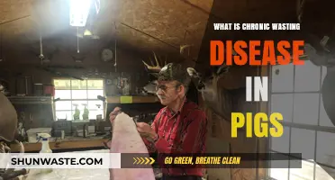Understanding Chronic Wasting Disease: A Growing Threat to Pig Health