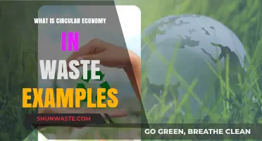 Circular Economy in Action: Transforming Waste into Valuable Resources