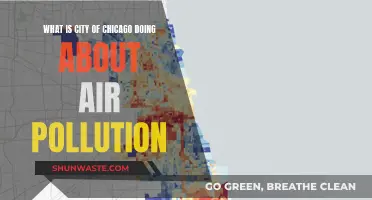 Chicago's Air Quality: Strategies and Solutions