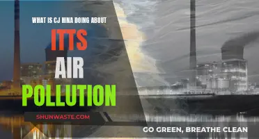 China's Air Pollution: Strategies and Solutions