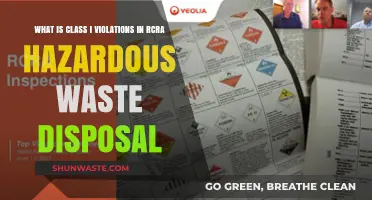 Understanding Class I Violations in RCRA Hazardous Waste Disposal