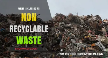 Understanding Non-Recyclable Waste: What Can’t Be Recycled and Why