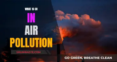 Air Pollution: Understanding the Danger of CO