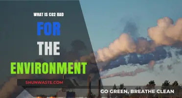 CO2's Environmental Impact: Understanding Its Harmful Effects on Our Planet