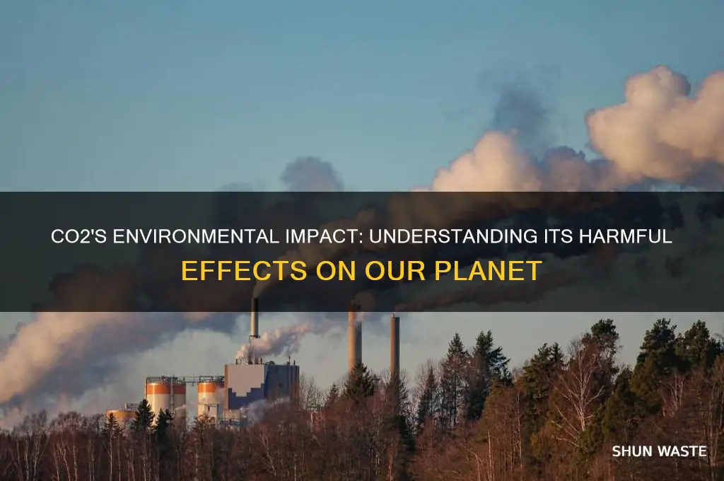 what is co2 bad for the environment