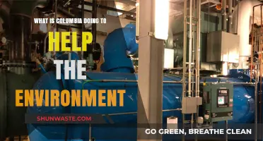 Columbia's Green Initiatives: Environmental Efforts and Sustainable Solutions