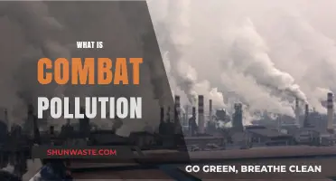 Combat Pollution: Strategies for a Greener Tomorrow