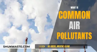 Air Pollutants: Common Toxins in the Air