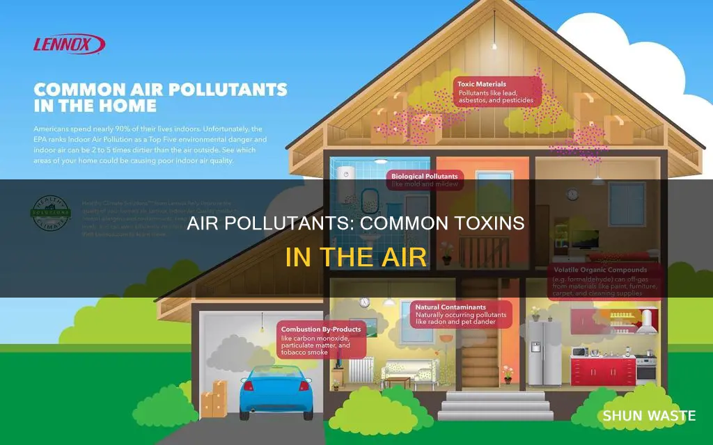 what is common air pollutants