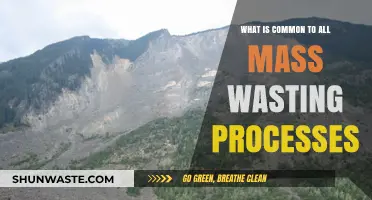 Understanding Mass Wasting: Common Factors Driving All Landslide Processes