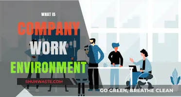 Understanding the Dynamics of a Company's Work Environment