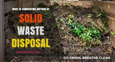 Sustainable Solutions: The Art of Composting Solid Waste