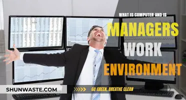 Understanding Computers and Managers' Work Environments: A Comprehensive Guide