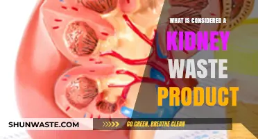 Understanding Kidney Waste: What Your Body Eliminates and Why It Matters