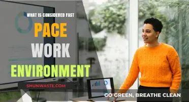 Thriving in Speed: Defining a Fast-Paced Work Environment
