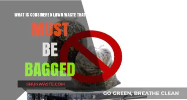 Understanding Lawn Waste: What Needs Bagging for a Tidy Yard