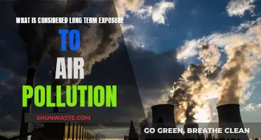 Air Pollution: Long-Term Exposure's Health Impact