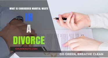 Understanding Marital Waste: Key Factors in Divorce Asset Division
