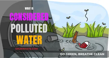 Understanding Water Pollution: What Makes Water Contaminated?