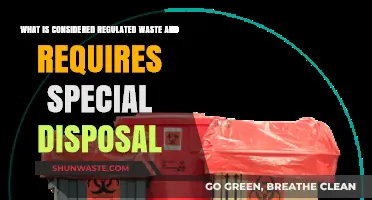 Understanding Regulated Waste: A Guide to Special Disposal Requirements