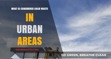 Urban Solid Waste: Defining and Managing City Waste Streams