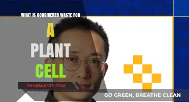 Plant Cell Waste: Understanding Byproducts and Their Biological Significance