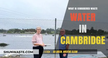 Understanding Cambridge's Wastewater: Sources, Treatment, and Environmental Impact