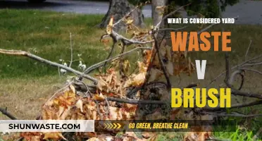 Yard Waste vs. Brush: Understanding the Key Differences and Proper Disposal