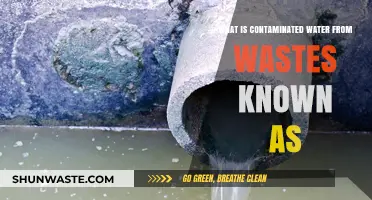 Understanding Wastewater Contamination: Causes, Risks, and Environmental Impact