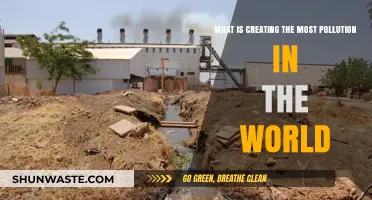 The Main Sources of Pollution and Their Impact