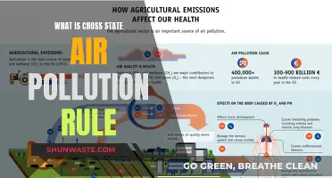 Air Pollution Rule: Cross-State Impact