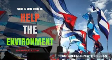 Cuba's Green Revolution: Sustainable Initiatives for a Healthier Planet