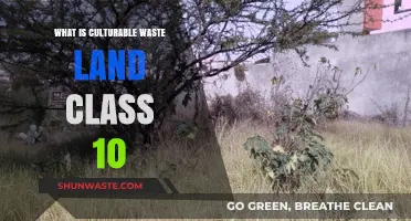 Understanding Culturable Waste Land: Class 10 Geography Explained