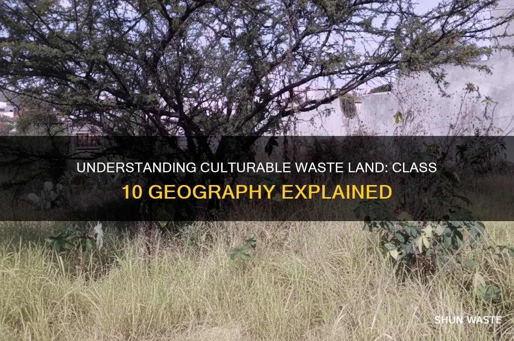 what is culturable waste land class 10