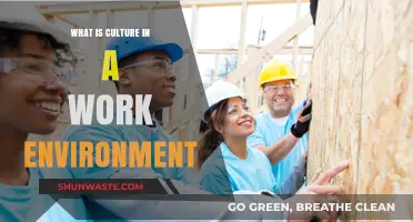 Understanding Workplace Culture: Shaping Collaboration, Productivity, and Employee Engagement