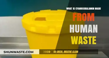 Cyanocobalamin Origins: The Surprising Connection to Human Waste Explained