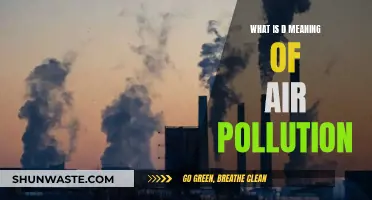 Air Pollution: Understanding the Toxic Air We Breathe