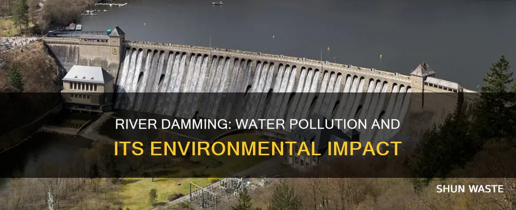 what is damming of rivers water pollution
