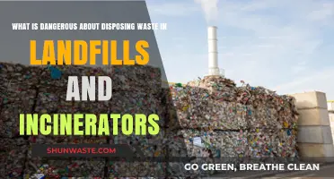 The Hidden Dangers of Landfill and Incinerator Waste Disposal