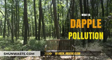 Dapple Pollution: Nature's Hidden Threat