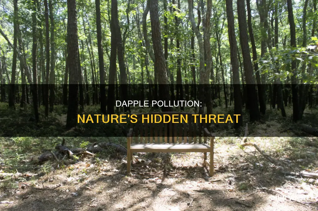 what is dapple pollution