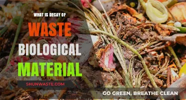 Understanding the Natural Process of Biological Waste Decay and Decomposition