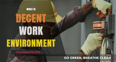 Creating a Decent Work Environment: Key Elements for Employee Well-being