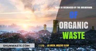 Organic Waste Breakdown: Reducing Methane Emissions and Environmental Impact