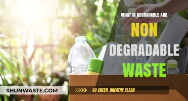 Understanding Degradable vs. Non-Degradable Waste: A Comprehensive Guide