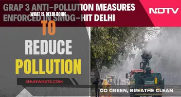 Delhi's Fight Against Pollution: Strategies and Initiatives