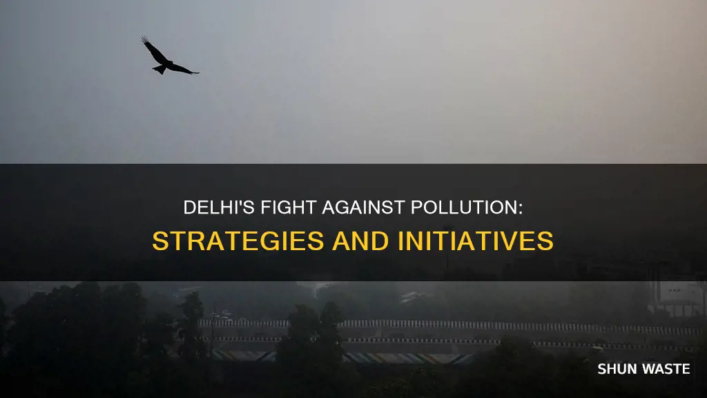 what is delhi doing to reduce pollution